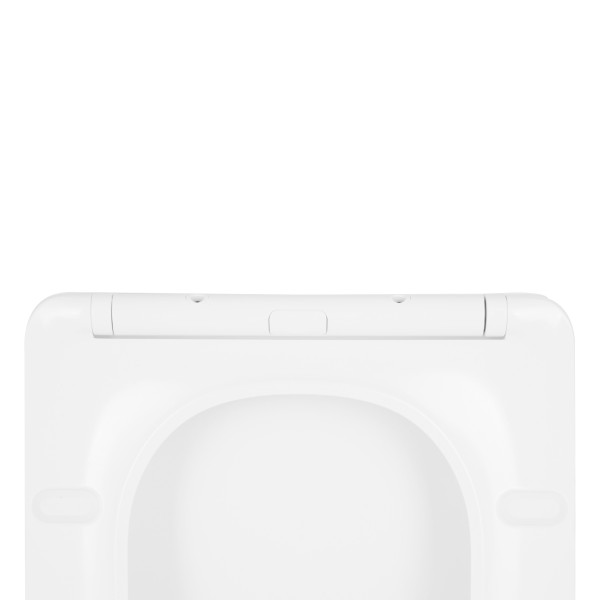 Сиденье для унитаза Qtap (Crow 520,640) с микролифтом Slim QT0599SC2170W8