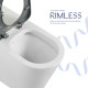 Унитаз напольный Qtap Freedom инклюзивный безбачковый Rimless безободковый с сиденьем Soft-close WHITE QT22223368W6