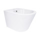 Биде подвесное Qtap Swan 485х360х320 мм, White QT16555379W1