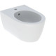 Біде підвісне iCon Geberit T53 см 501.898.JT.1 Geberit1