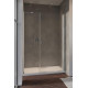 Душові двері NES DWS 110 праві RADAWAY1