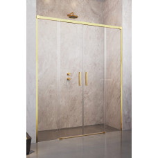Душові двері Idea Gold DWD 170 RADAWAY1