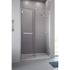 Душові двері Carena DWJ 100 L RADAWAY1