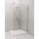 Душова стінка Euphoria Walk-in V W1 120 RADAWAY1