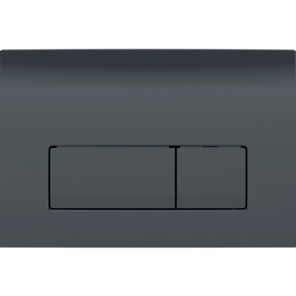 Кнопка зливу Delta50 115.119.DW.1 чорний Geberit1