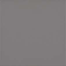 Технічний грес Bazo Nero Monokolor 198x198x13 Paradyz1