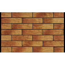 Плитка фасадна Dakota Rustiko 6,5x24,5x0,65 код 9607 Cerrad1