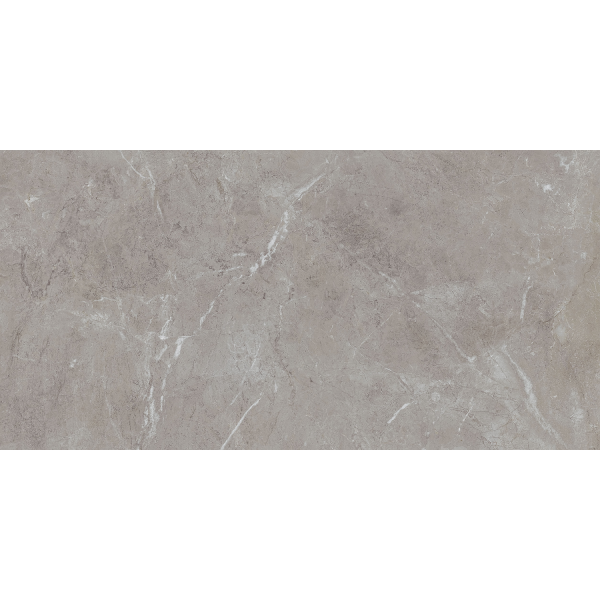 Керамогранит TEO Ceramics Arber Grey F P Mat Rec 60*120 см серый4