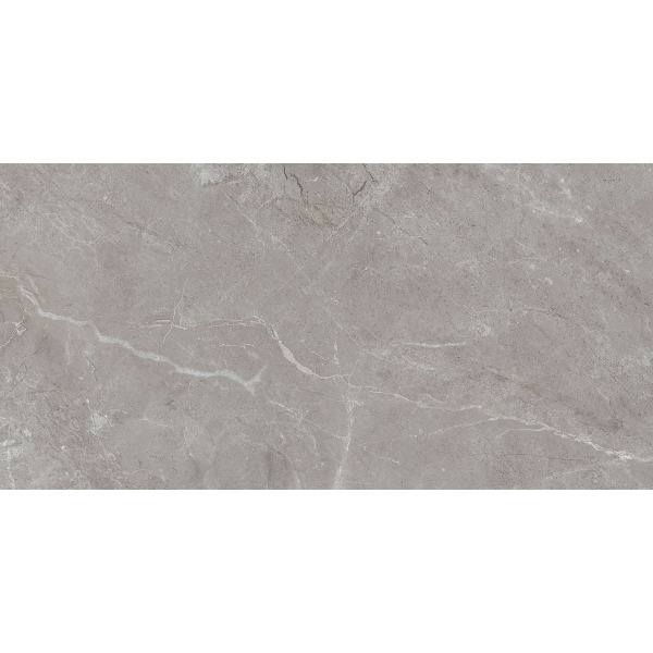 Керамогранит TEO Ceramics Arber Grey F P Mat Rec 60*120 см серый6