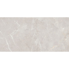 Керамогранит TEO Ceramics Arber Silver F P Mat Rec 60*120 см серебряный1