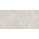 Керамогранит TEO Ceramics Arber Silver F P Mat Rec 60*120 см серебряный1