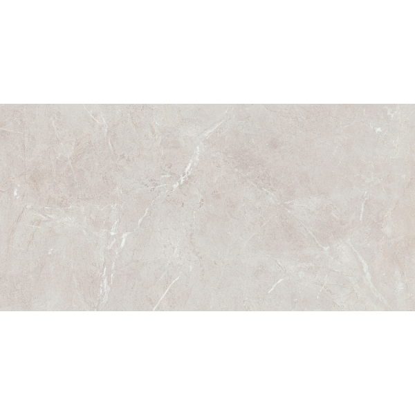 Керамогранит TEO Ceramics Arber Silver F P Mat Rec 60*120 см серебряный4