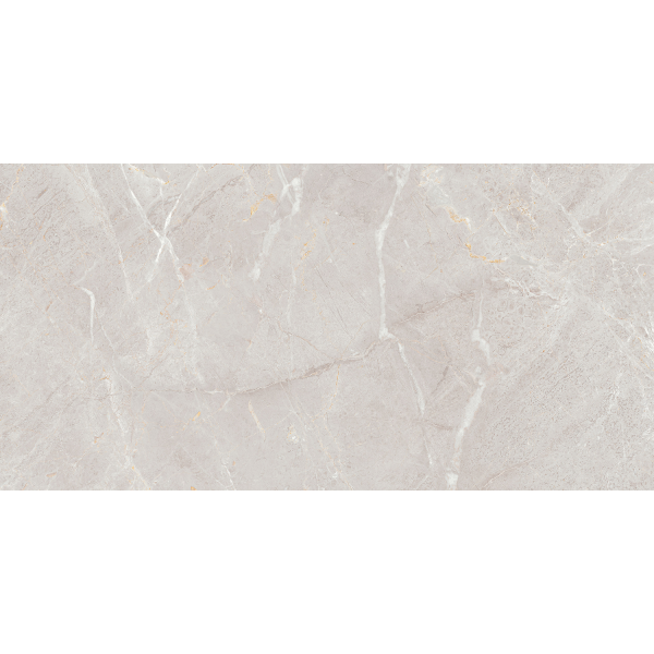 Керамогранит TEO Ceramics Arber Silver F P Mat Rec 60*120 см серебряный5