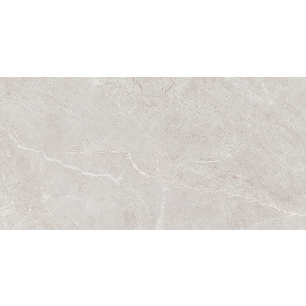 Керамогранит TEO Ceramics Arber Silver F P Mat Rec 60*120 см серебряный6
