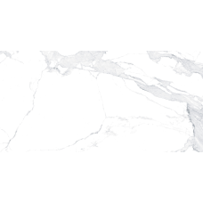 Керамогранит TEO Ceramics Avenzo Silver F P R Sat 60*120 см белый1