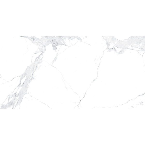 Керамогранит TEO Ceramics Avenzo Silver F P R Full Lapp 60*120 см белый4