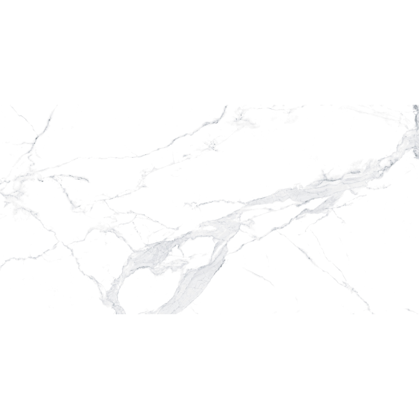 Керамогранит TEO Ceramics Avenzo Silver F P R Full Lapp 60*120 см белый5