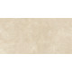 Керамогранит TEO Ceramics Iron Beige F P R Semi Lappato 60*120 см бежевый1