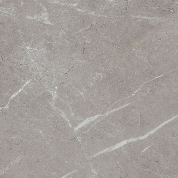 Керамогранит TEO Ceramics Arber Grey F P Mat Rec 60*60 см серый5