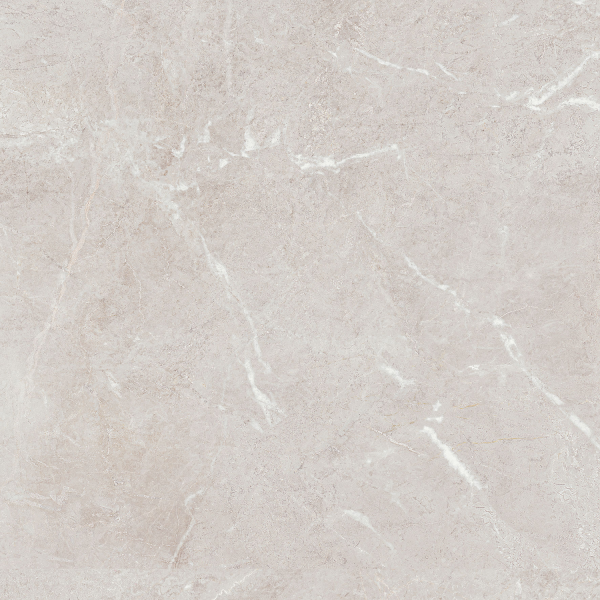Керамогранит TEO Ceramics Arber Silver F P Mat Rec 60*60 см серебряный4