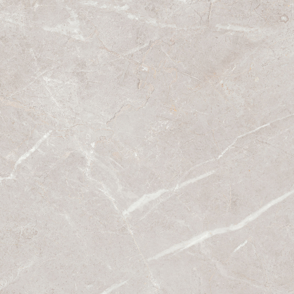 Керамогранит TEO Ceramics Arber Silver F P Mat Rec 60*60 см серебряный5