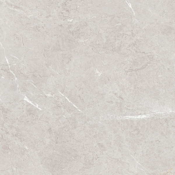 Керамогранит TEO Ceramics Arber Silver F P Mat Rec 60*60 см серебряный6