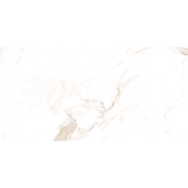 Керамограніт TEO Ceramics Alcora Gold F P Sat Rec 60*120 см білий1