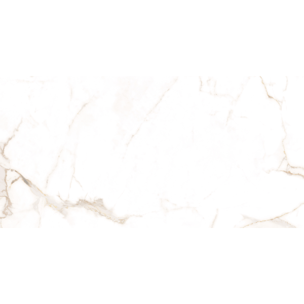 Керамограніт TEO Ceramics Alcora Gold F P Sat Rec 60*120 см білий4