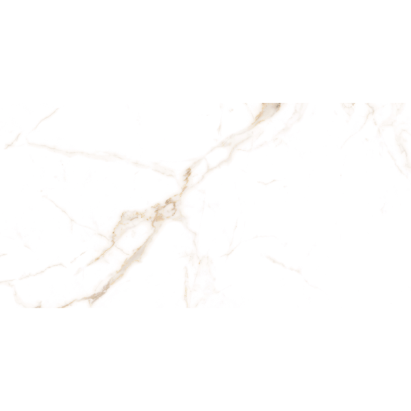 Керамограніт TEO Ceramics Alcora Gold F P Sat Rec 60*120 см білий6