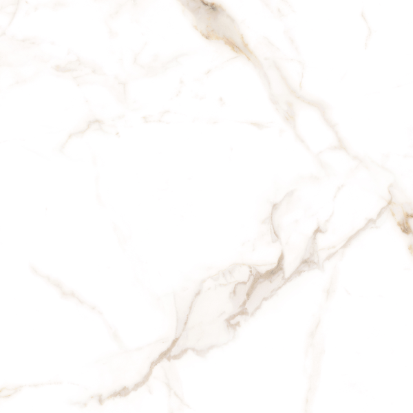 Керамогранит TEO Ceramics Alcora Gold F P Sat R 60*60 см белый1