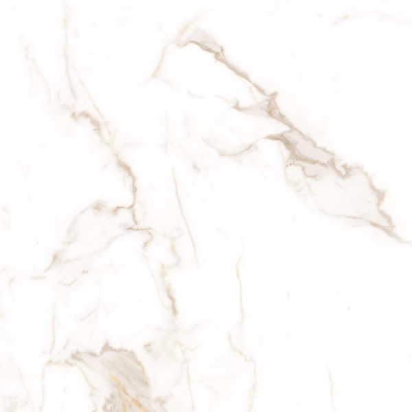 Керамогранит TEO Ceramics Alcora Gold F P Sat R 60*60 см белый4