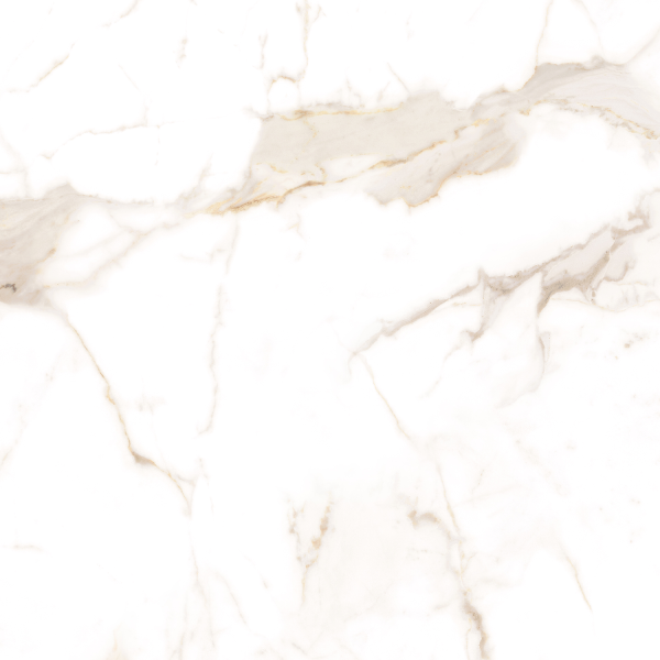 Керамогранит TEO Ceramics Alcora Gold F P Sat R 60*60 см белый5