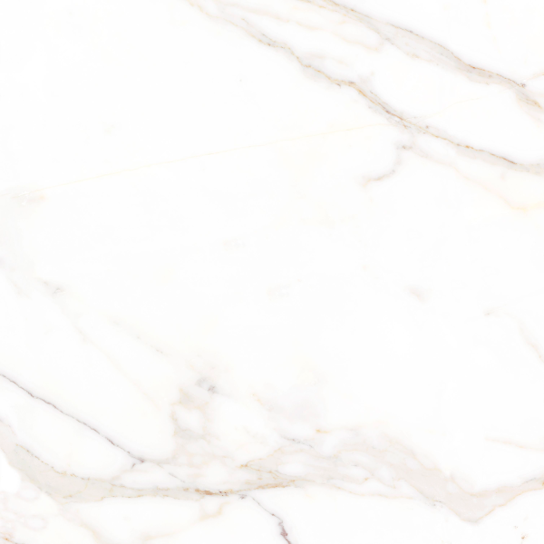 Керамогранит TEO Ceramics Amigo Gold F P NR Satin 47*47*0,8 см белый11