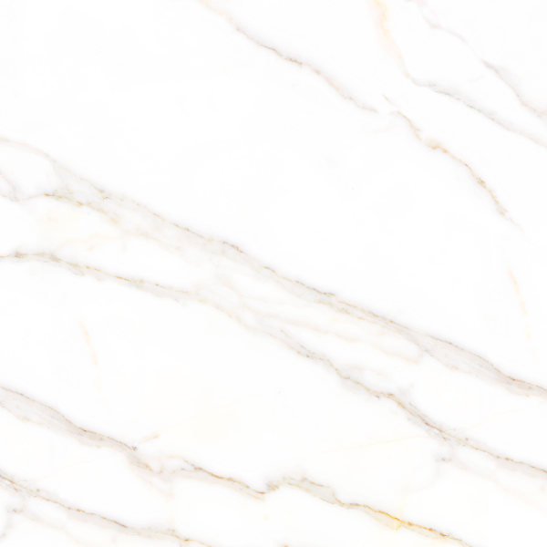 Керамогранит TEO Ceramics Amigo Gold F P NR Satin 47*47 см белый12