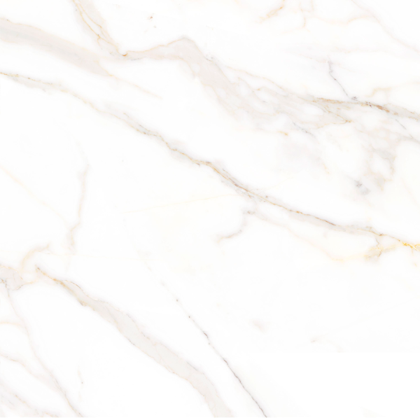 Керамогранит TEO Ceramics Amigo Gold F P NR Satin 47*47*0,8 см белый13