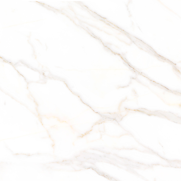 Керамогранит TEO Ceramics Amigo Gold F P NR Satin 47*47 см белый4