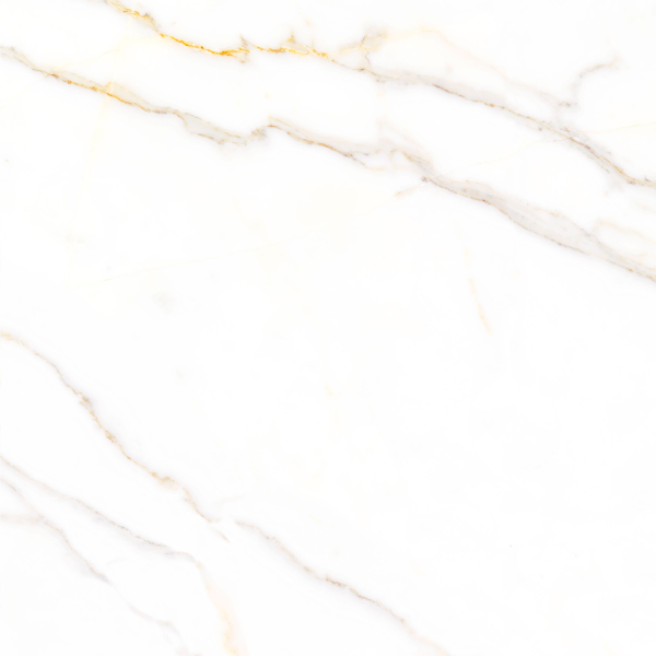 Керамогранит TEO Ceramics Amigo Gold F P NR Satin 47*47*0,8 см белый5