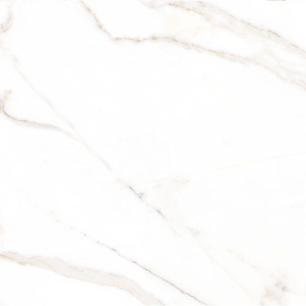 Керамогранит TEO Ceramics Amigo Gold F P NR Satin 47*47 см белый6