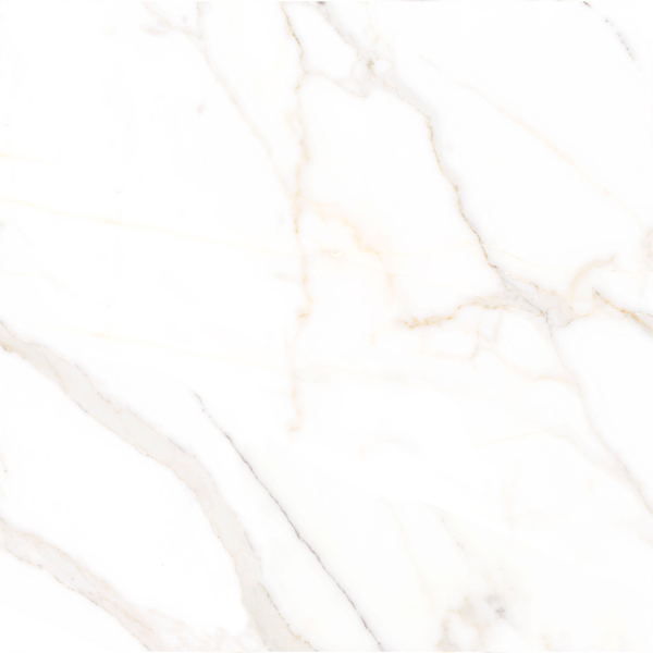 Керамогранит TEO Ceramics Amigo Gold F P NR Satin 47*47 см белый8