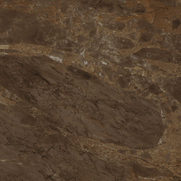 Керамогранит TEO Ceramics Andorra brown F NR Mat 47*47*0,8 см коричневый4
