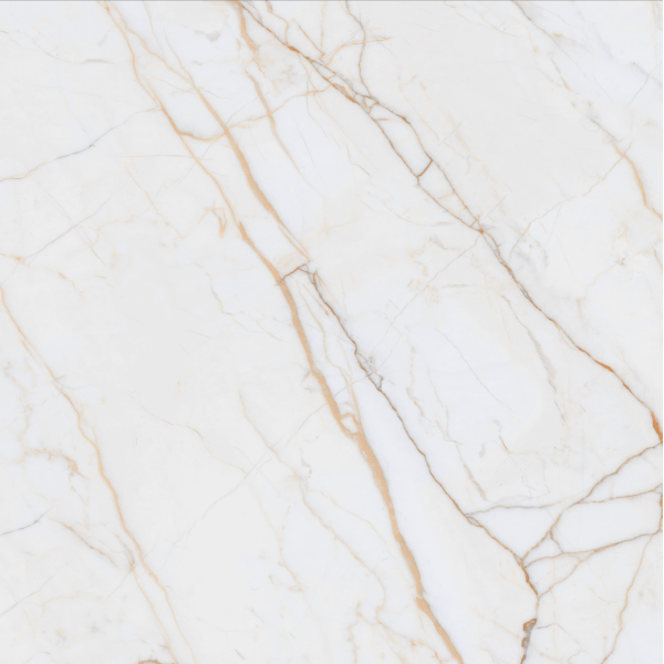 Керамогранит TEO Ceramics Antico Gold Glossy F P Rec 60*60 см белый4