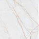 Керамогранит TEO Ceramics Antico Gold Glossy F P Rec 60*60 см белый3