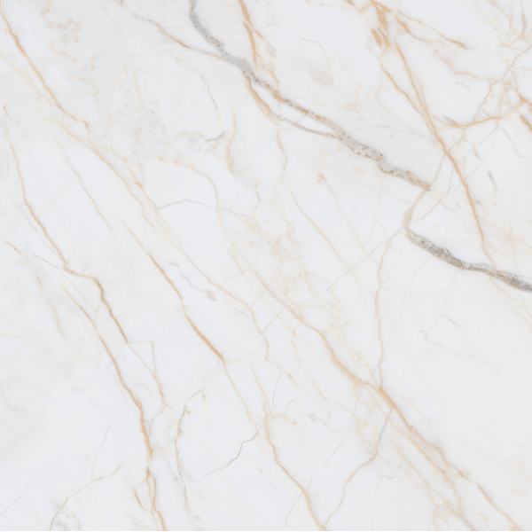 Керамогранит TEO Ceramics Antico Gold Glossy F P Rec 60*60 см белый5