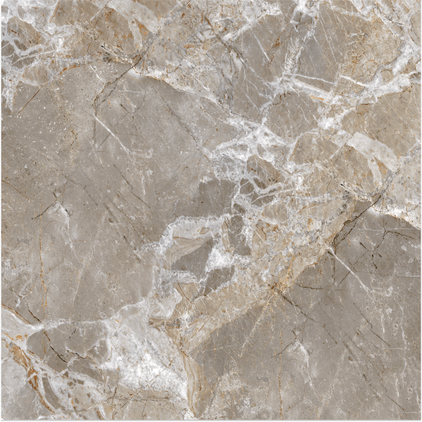Керамогранит Teo Ceramics Ariana Grey F P NR Mat 47*47 серый3