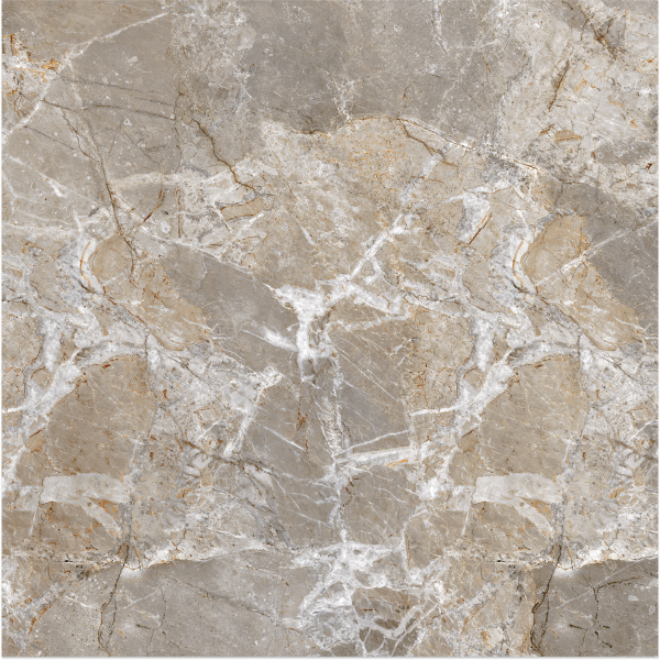 Керамогранит Teo Ceramics Ariana Grey F P NR Mat 47*47 серый4