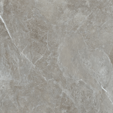 Керамогранит TEO Ceramics Ariya Grey F P Mat R 120*120 см серый1