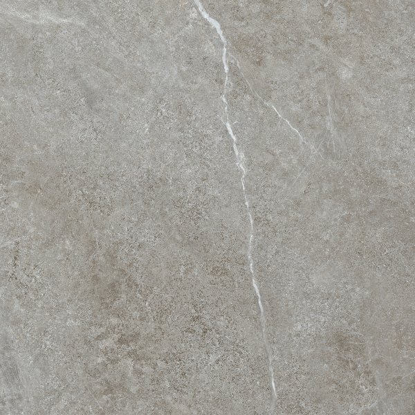 Керамогранит TEO Ceramics Ariya Grey F P Mat R 120*120 см серый4