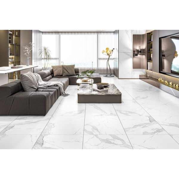 Керамогранит TEO Ceramics Avenzo Silver F P R Sat 60*60 см белый3