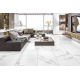 Керамогранит TEO Ceramics Avenzo Silver F P R Sat 60*60 см белый2