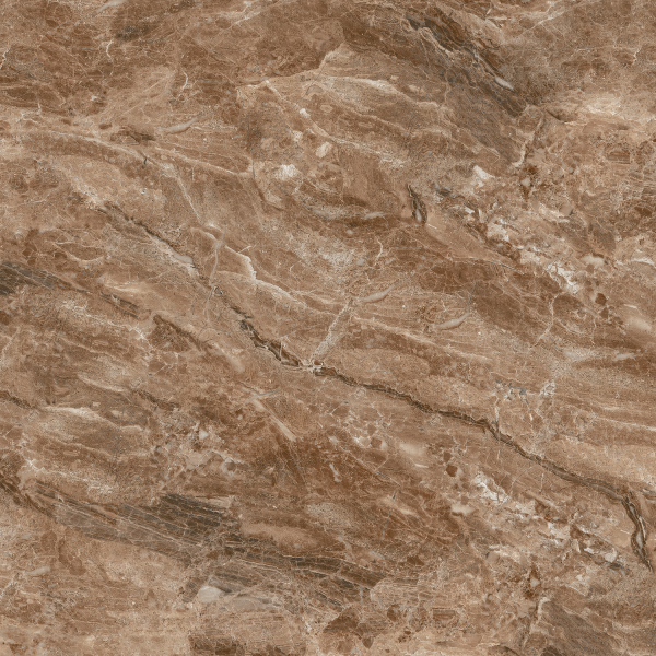 Керамограніт TEO Ceramics Bruno Brown F P RN Mat 60*60 см коричневий6